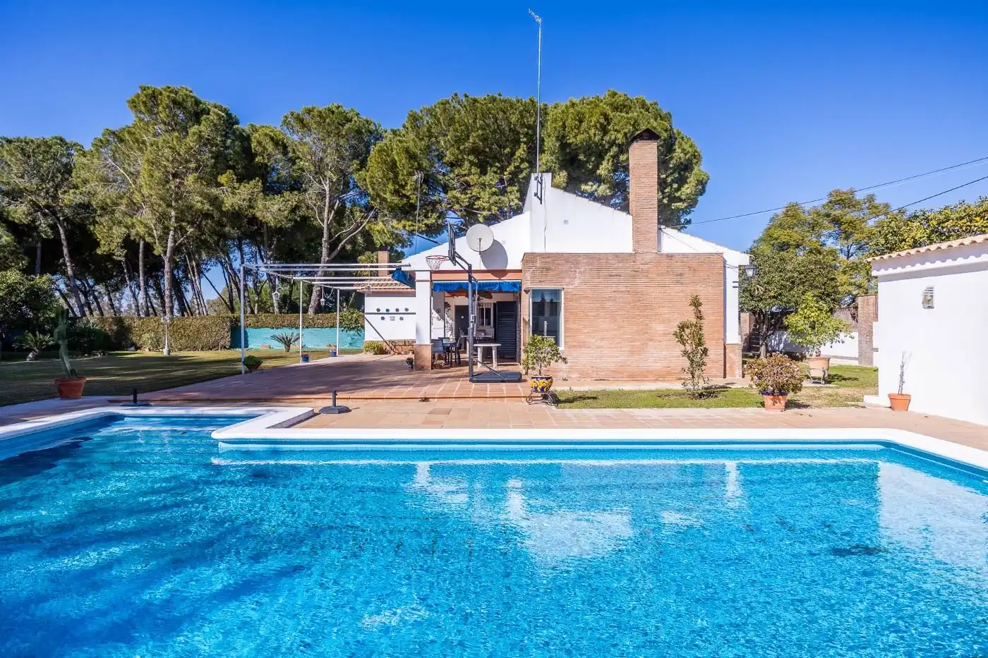 Jardín de Casa o chalet en venta en Carmona con Aire acondicionado, Jardín privado y Trastero