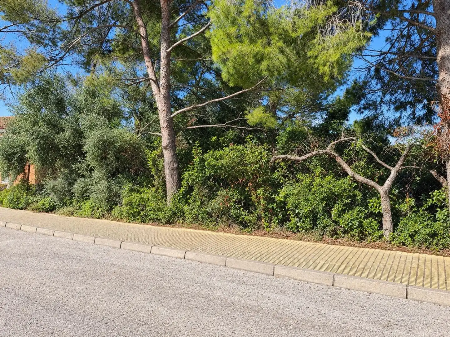 Terrain rustique à vendre à Tarragona - CL ALT EMPORDA