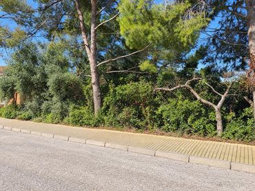 Terrain rustique à vendre à Tarragona - CL ALT EMPORDA