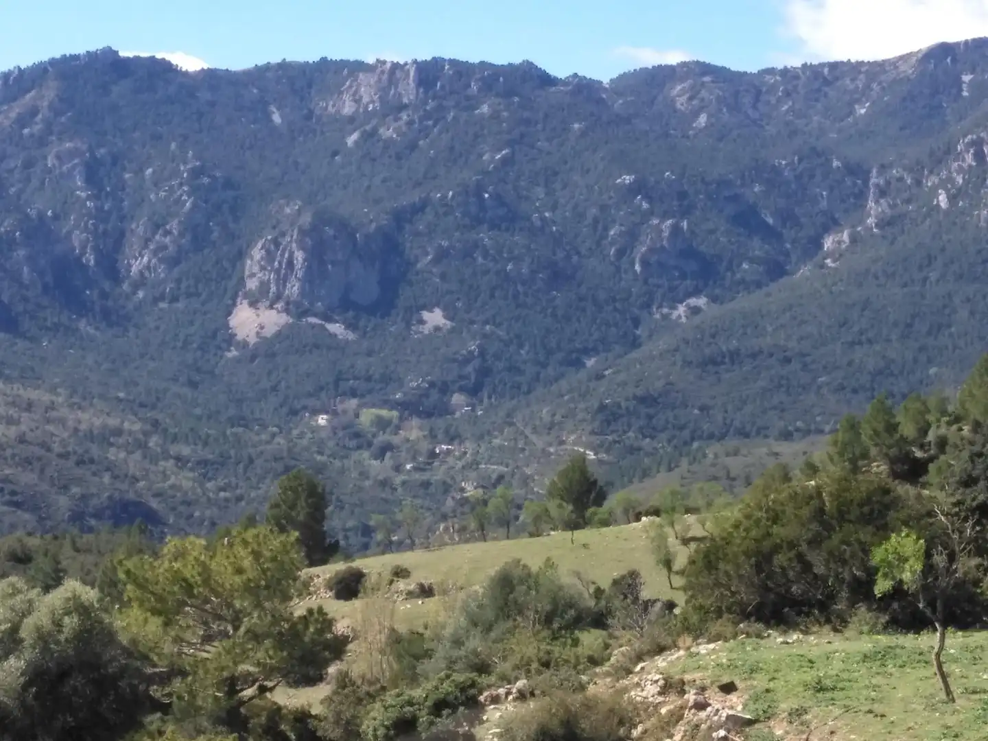 Vista exterior de Local en venda en Alfara de Carles amb Moblat