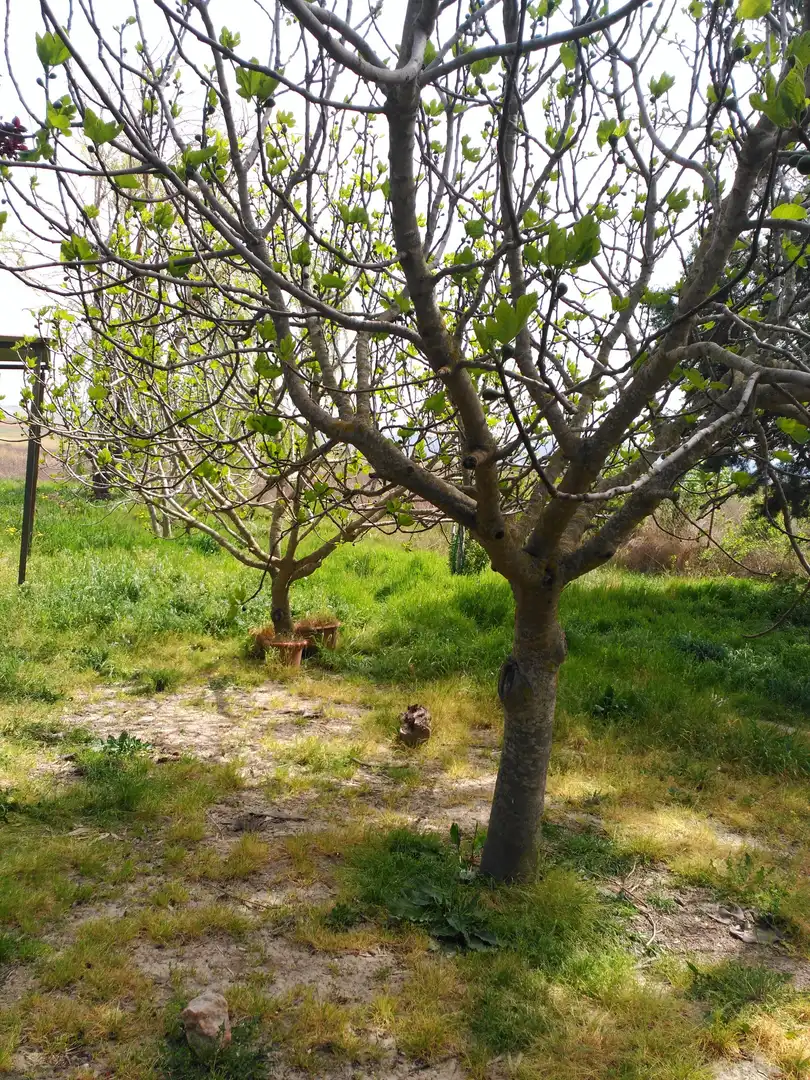 Casa o chalet en venta en Travesia Pozo, Holguera