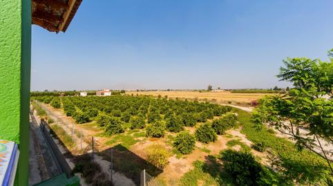 Foto 2 de Finca rústica en venta en Almoradí, Alicante