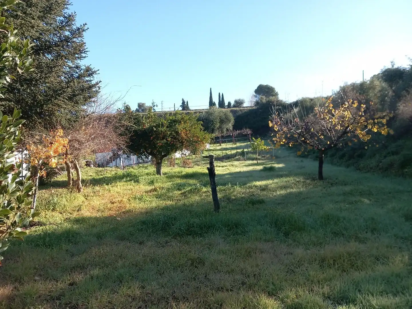 Finca rústica en venda a Partidas Norte
