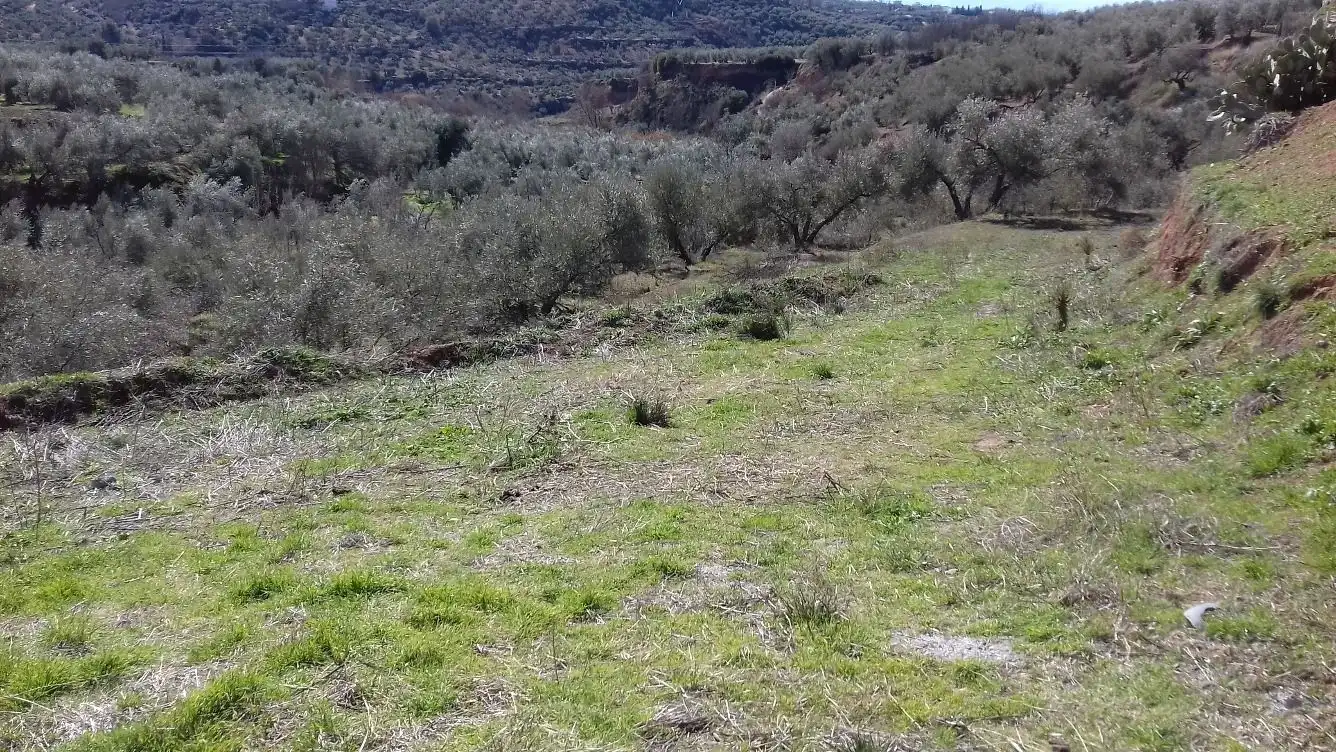 Terreni e lotti in vendita a Cogollos de la Vega, imagen 3