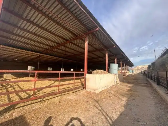 Vista exterior de Casa o xalet en venda en Alicante / Alacant amb Jardí privat