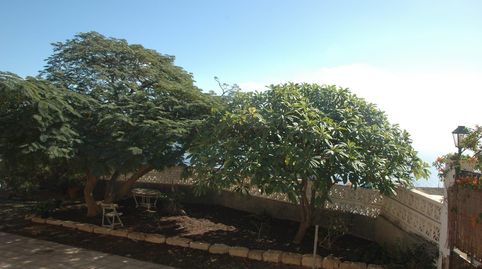Foto 3 de Casa o chalet en venta en El Chorrillo - San Isidro - Llano Blanco, El Rosario