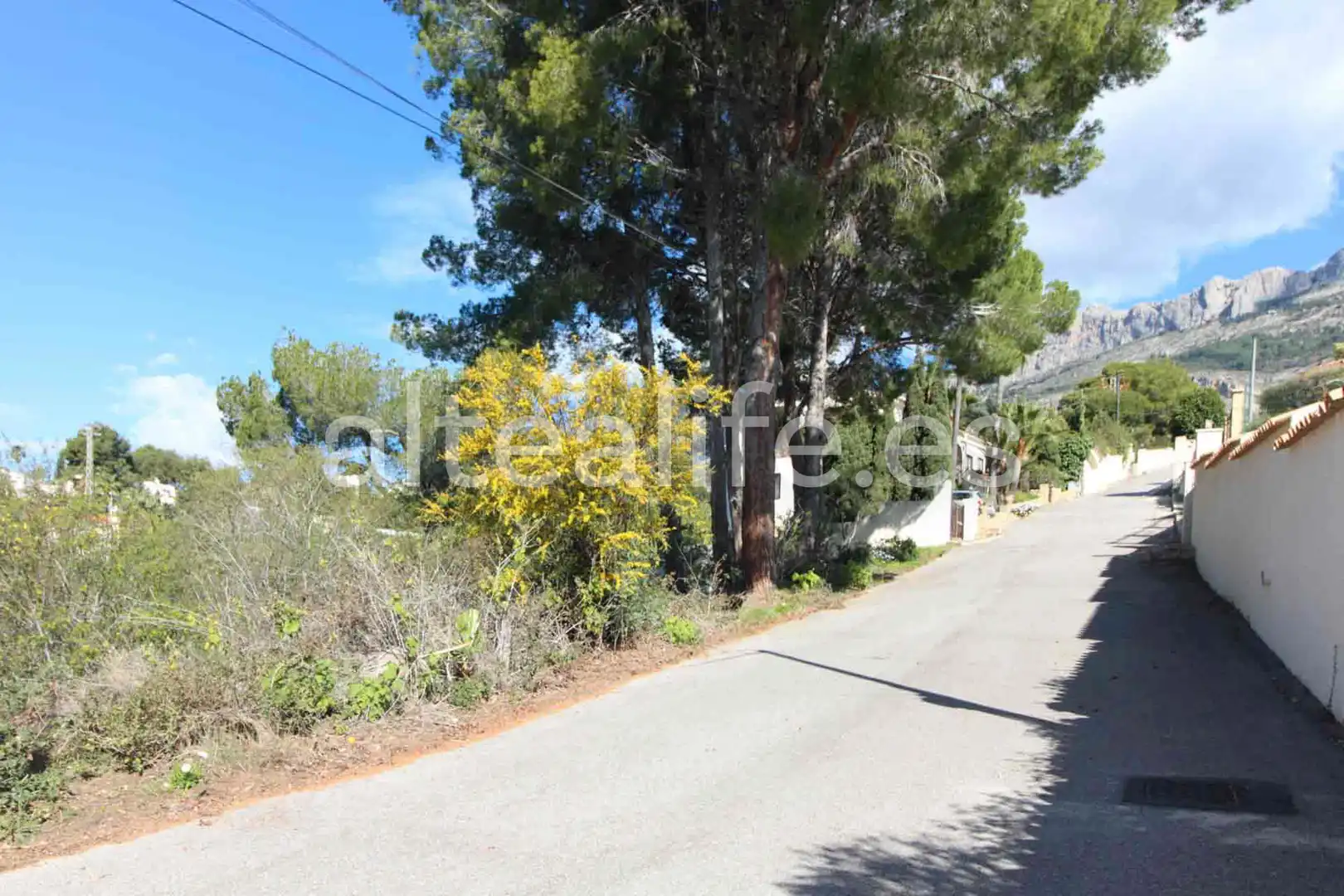 Vista exterior de Residencial en venta en Altea