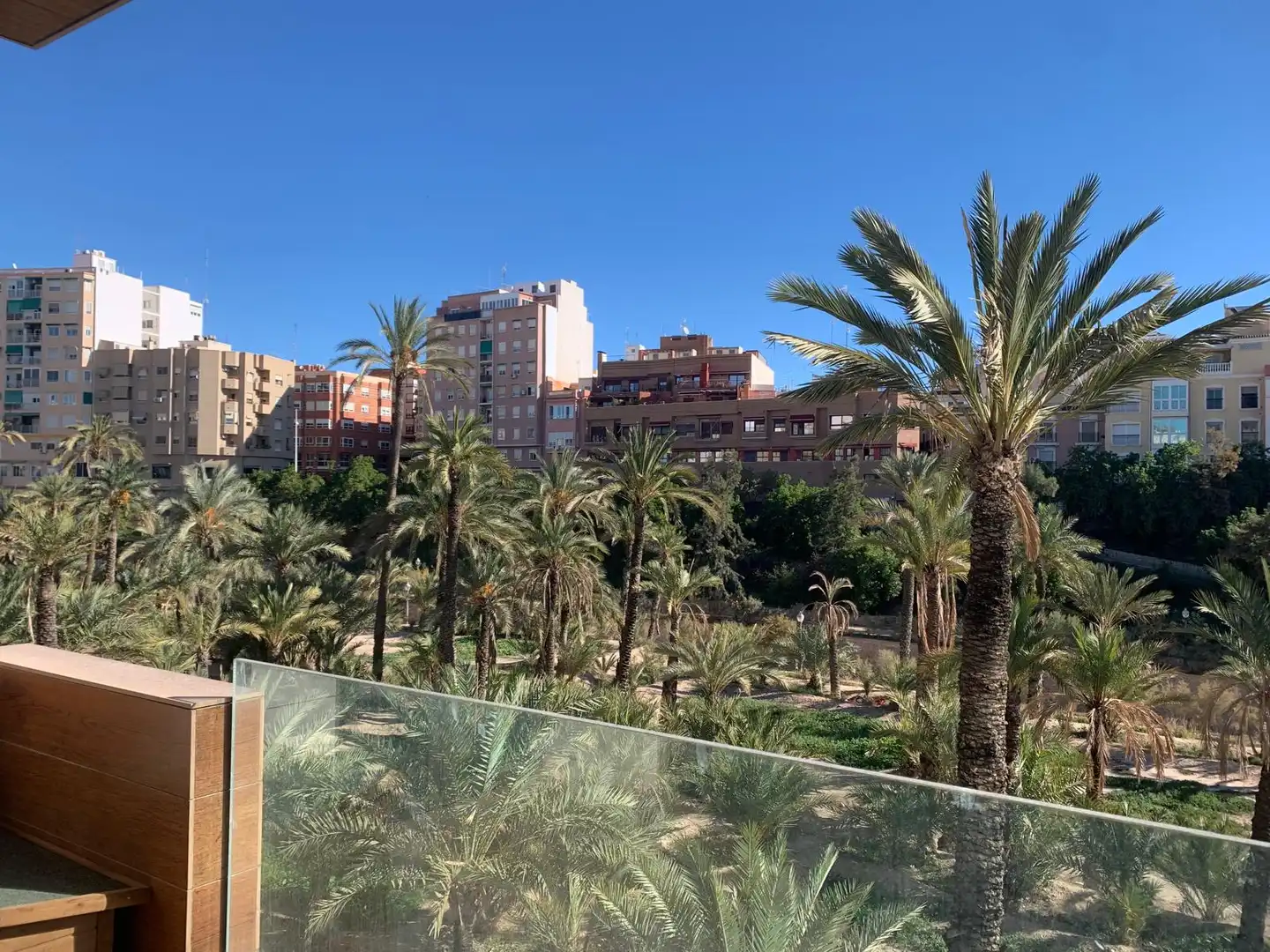 Exterior view of Flat for sale in Elche / Elx