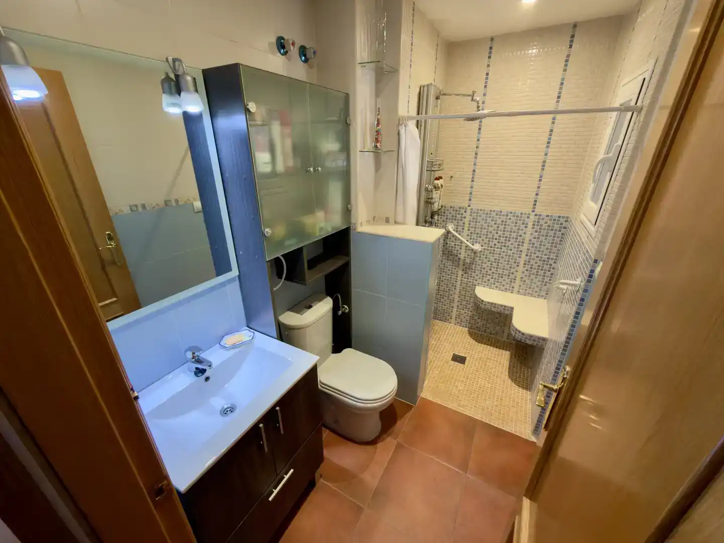 Baño de Casa o chalet en venta en Pétrola