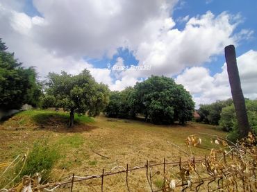 Residential land for sale in Fucsia de La