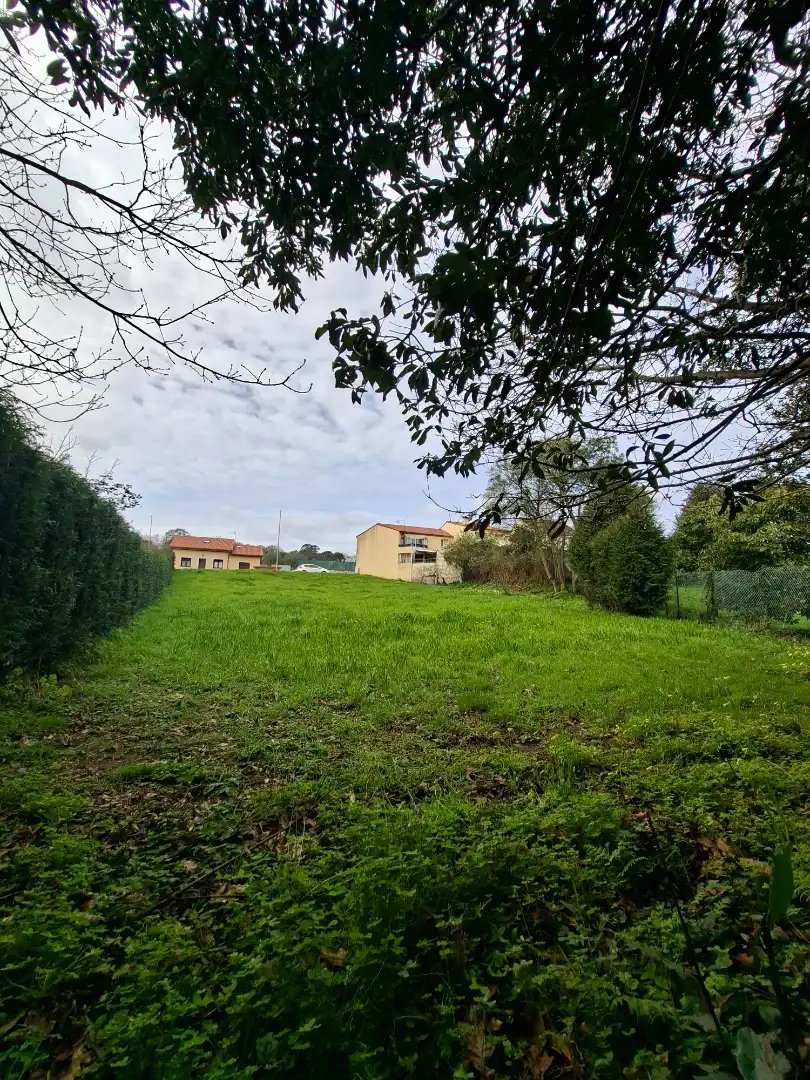 Terreni e lotti in vendita a Estrada de San Pedro, imagen 5