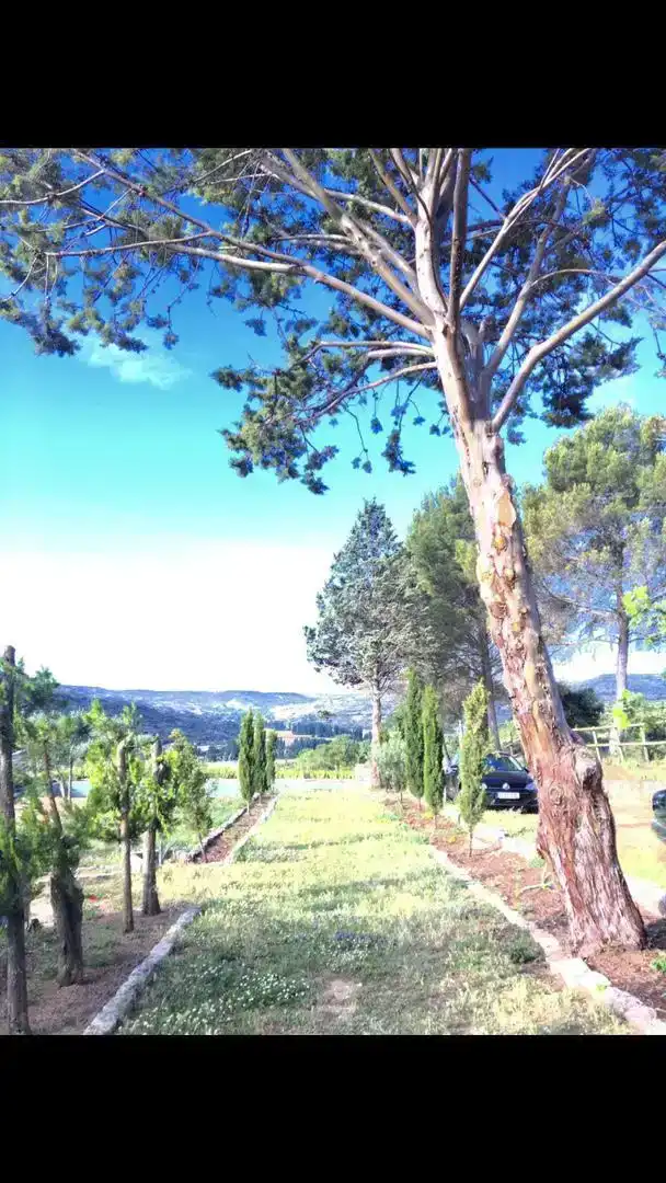 Vista exterior de Casa o chalet de alquiler en Ambite con Jardín privado, Trastero y Piscina
