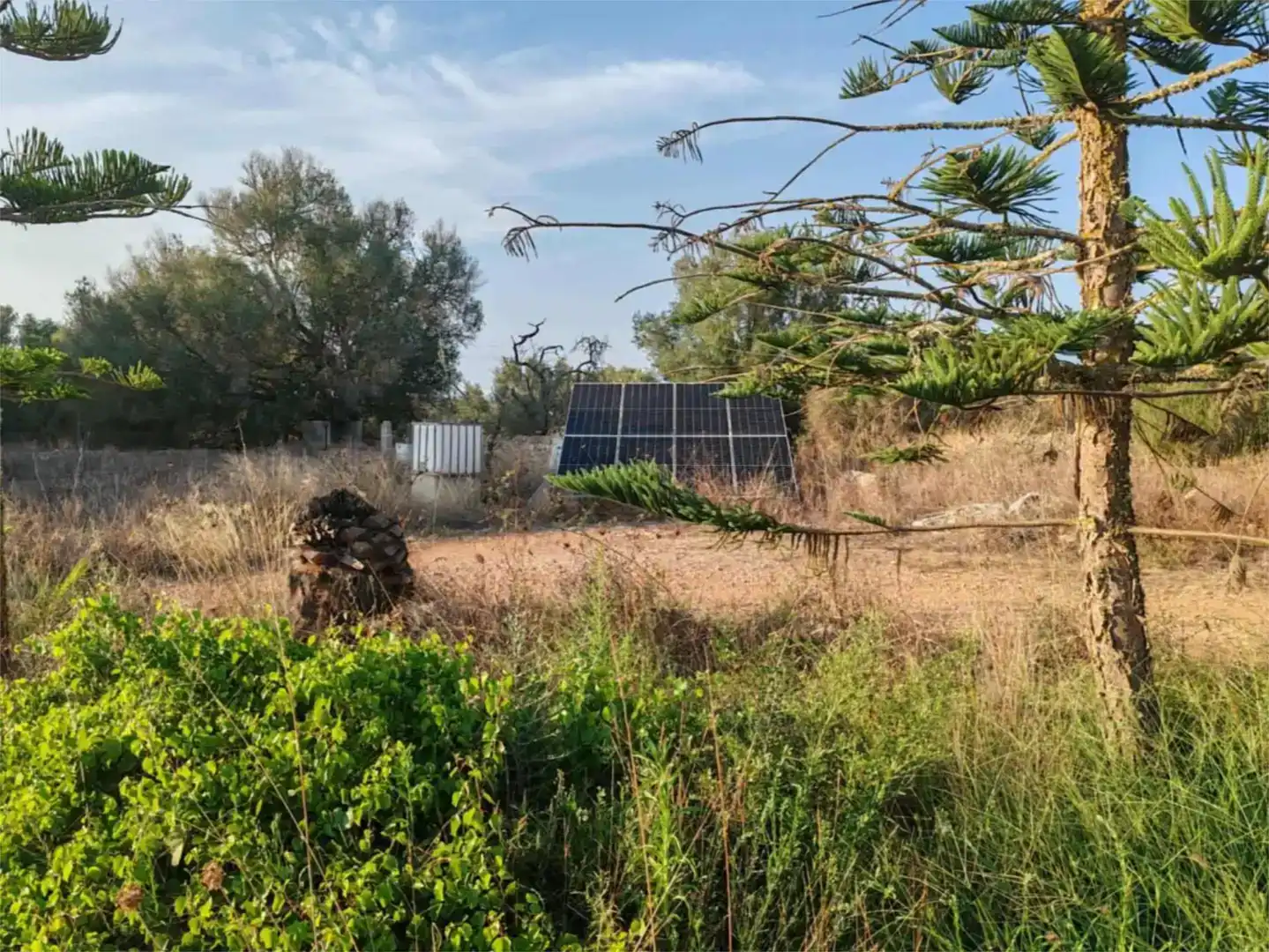 Pis en venda en Ses Salines amb Balcó