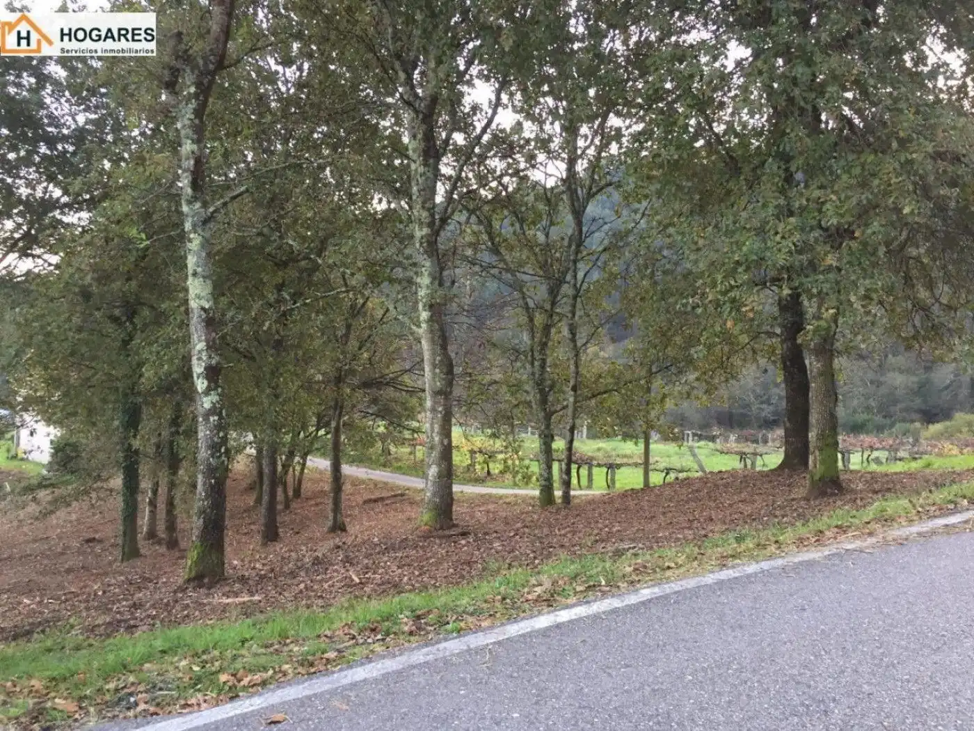 Terreny residencial en venda a CASAL DE VELLO, imagen 11