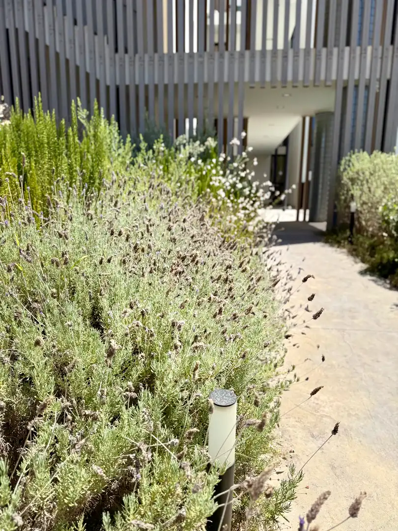 Jardí de Pis en venda en Santa Eulària des Riu amb Aire condicionat, Calefacció i Terrassa