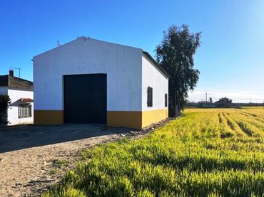 Terreny rústic en venda a Don Benito