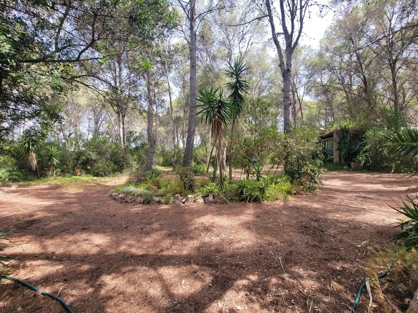 Lands and plots for sale in Avenida dels Pirineus, imagen 17