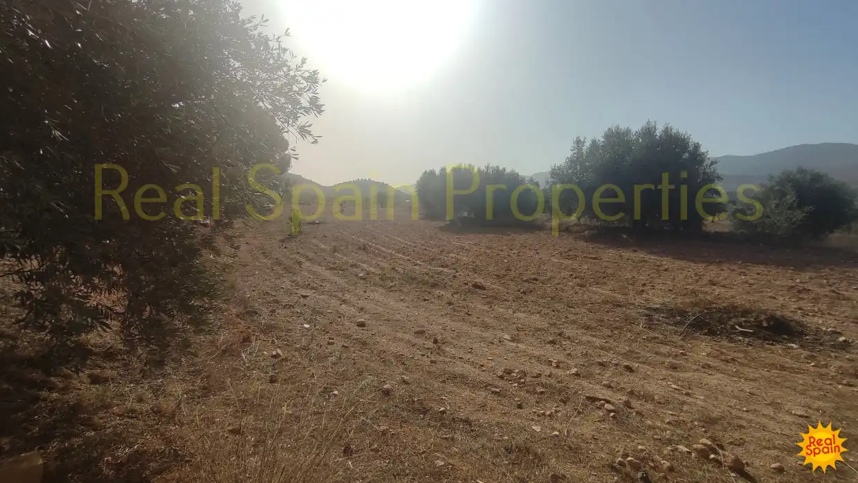 Finca rústica en venta en Vélez-Rubio con Terraza y Piscina