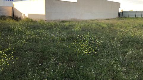 solar edificable muy bien situado, immagine 5