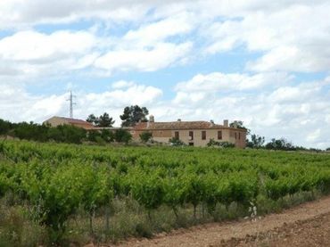 Terreno rustico in vendita a Almansa