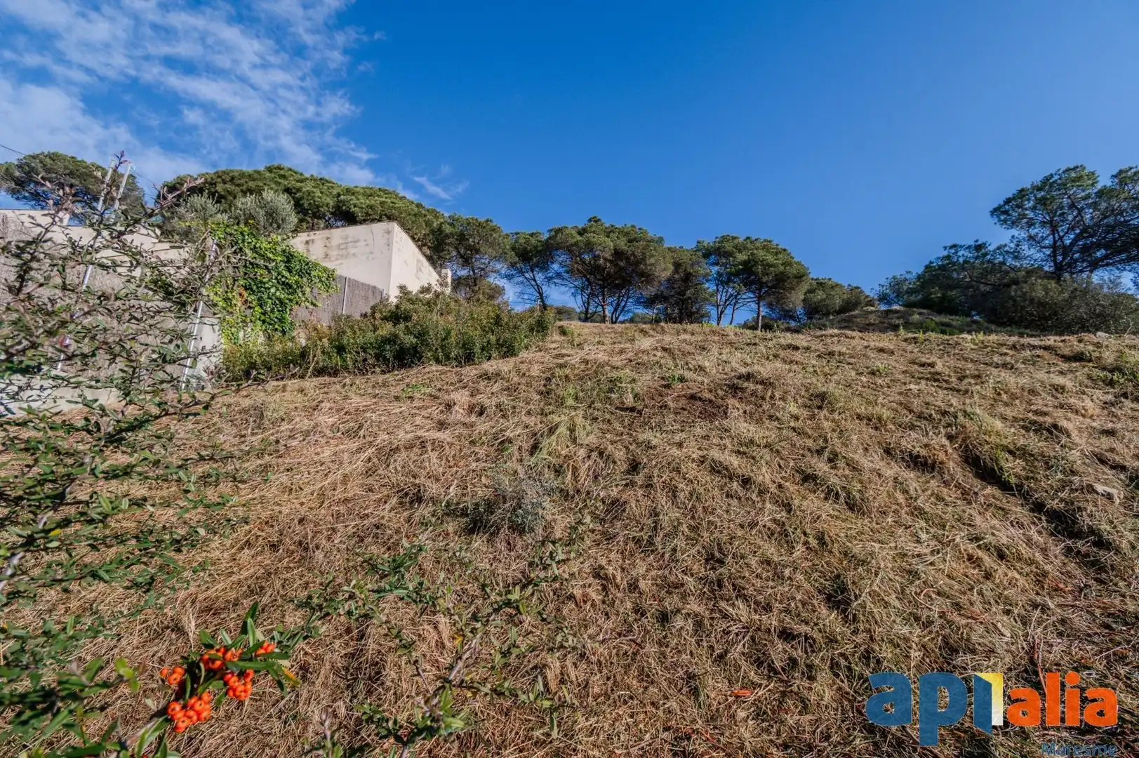 Terreno residenziale in vendita a Dosrius poble, imagen 6