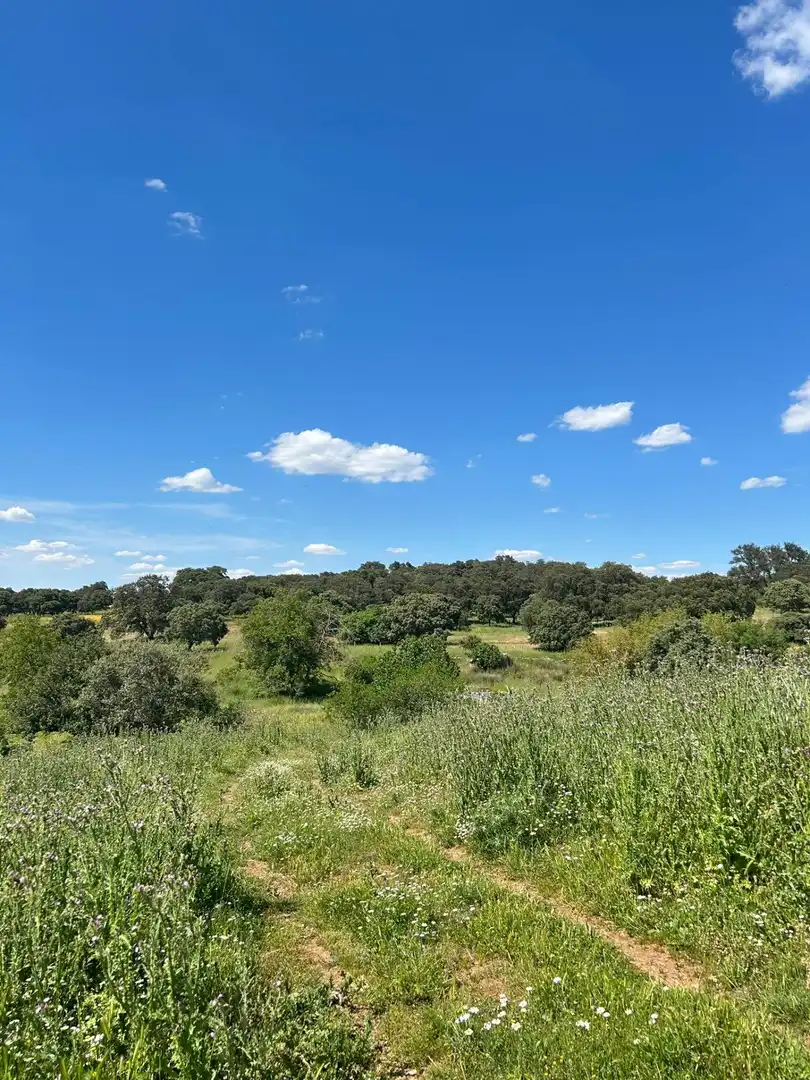 Finca rústica en venta en Alanís