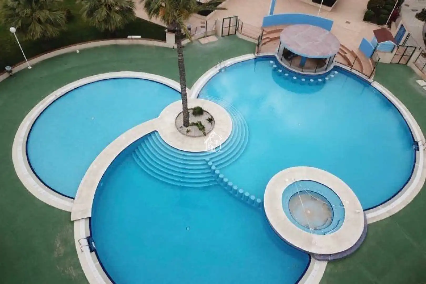 Piscina de Apartament de lloguer en Orihuela amb Jardí privat, Terrassa i Traster