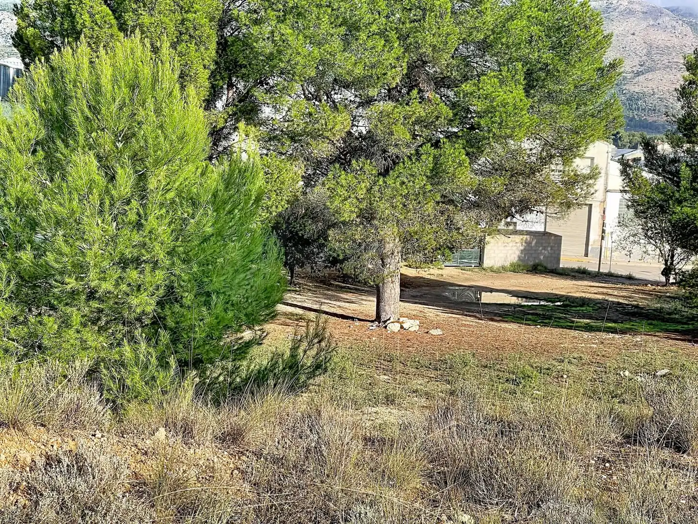 Wohnbaugrundstück zum Verkauf in Muro de Alcoy, imagen 10