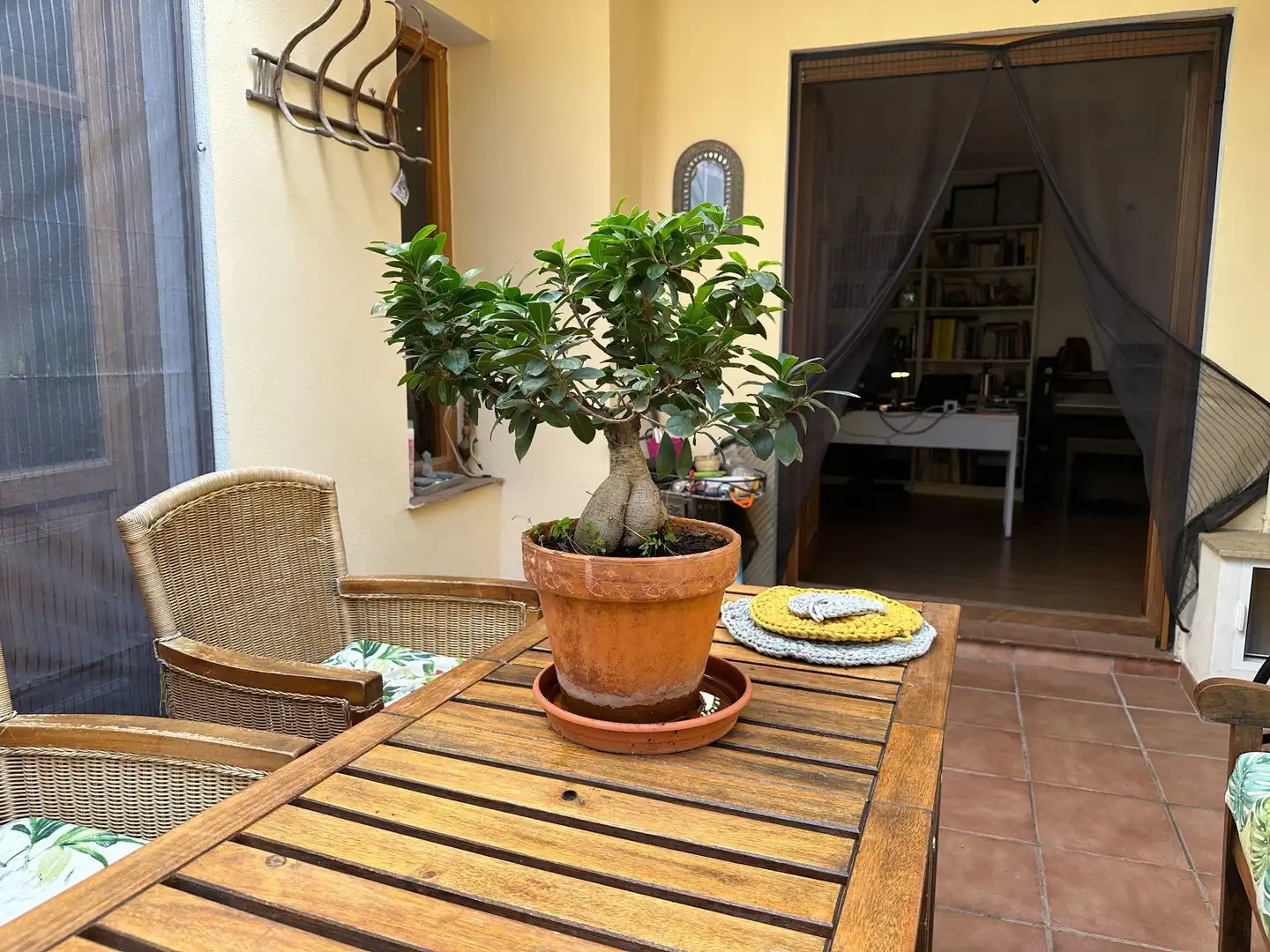 Jardí de Finca rústica en venda en Albaida amb Aire condicionat, Calefacció i Terrassa