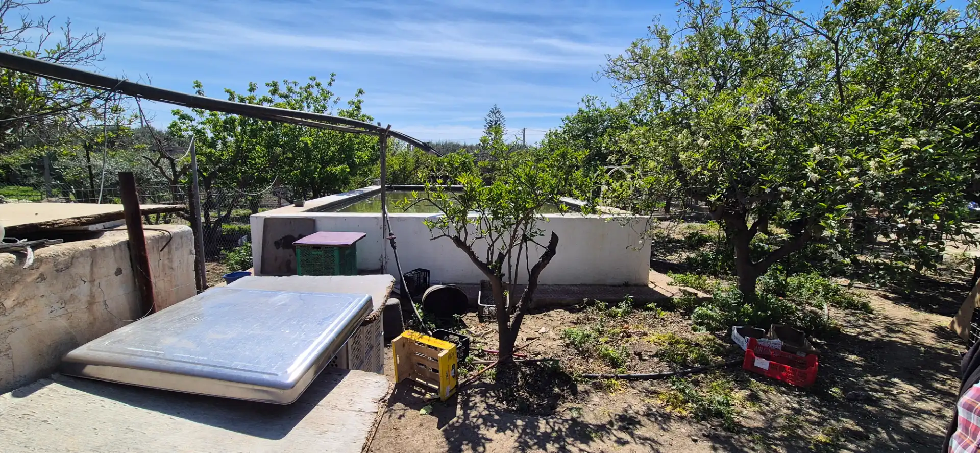 Jardí de Finca rústica en venda en Benahadux