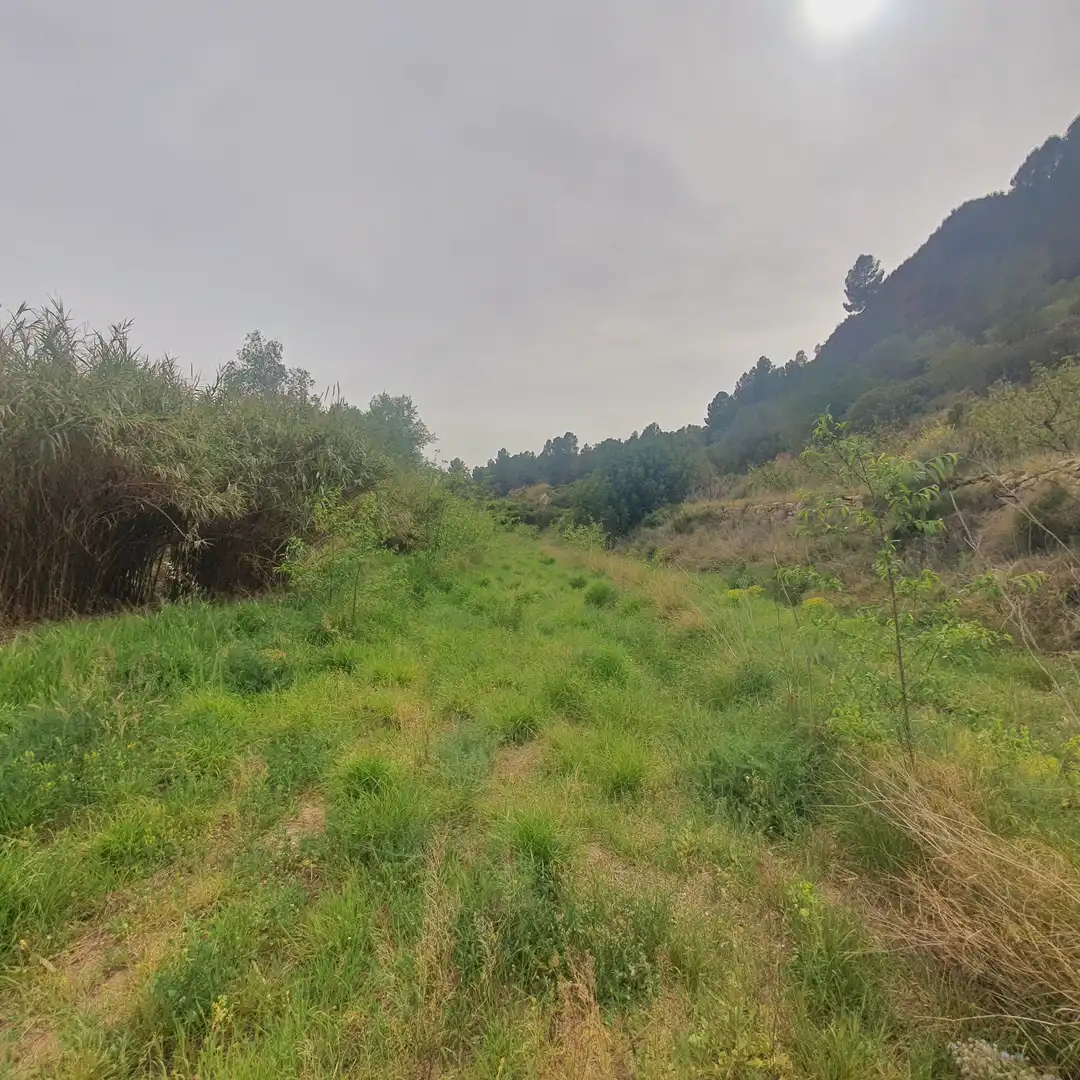 Terrain rustique à vendre à Benifallet, imagen 7