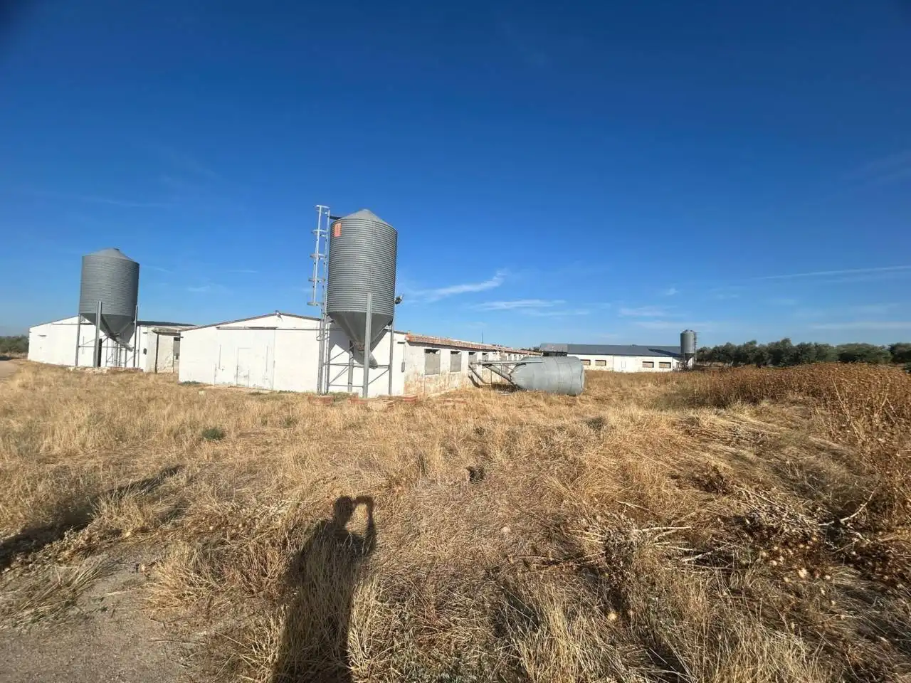 Nave industrial en venta en Polán