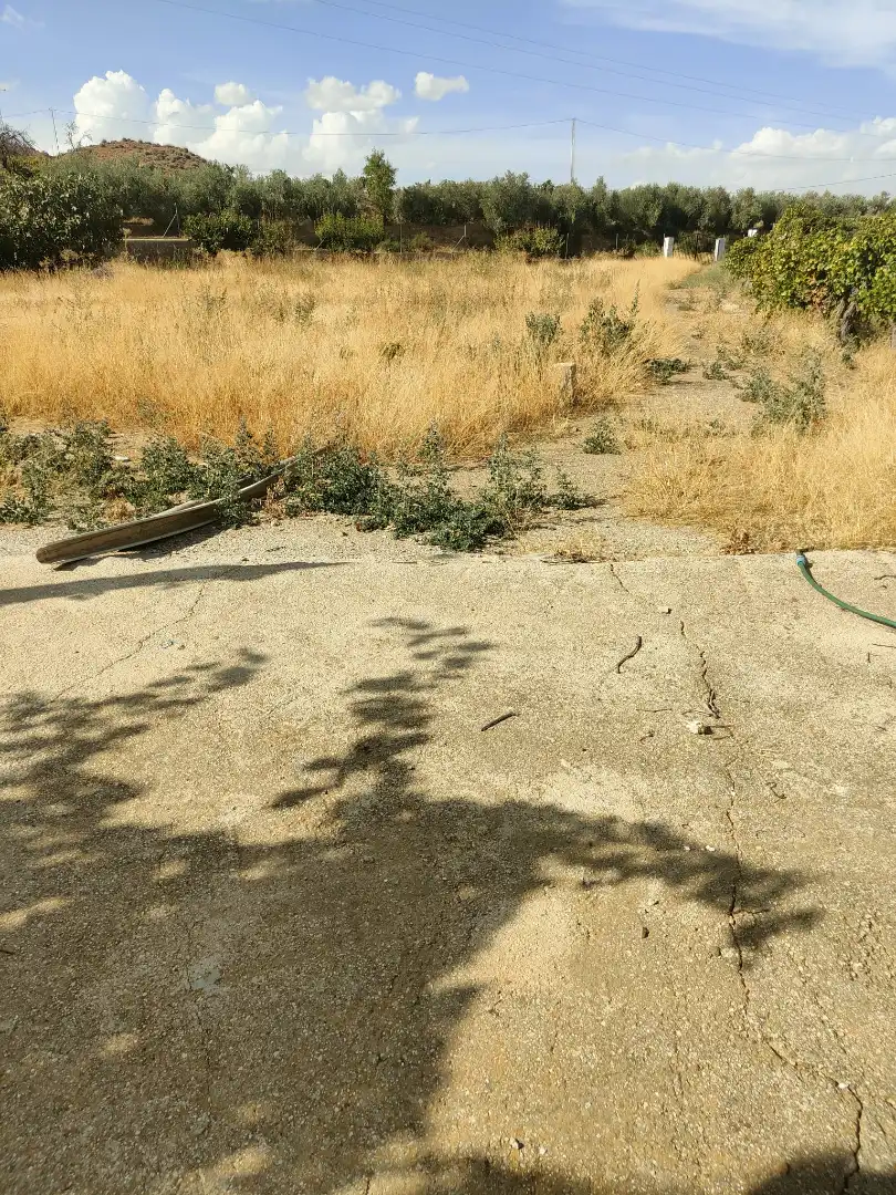 Vista exterior de Finca rústica en venda en Cortes y Graena amb Jardí privat, Terrassa i Piscina