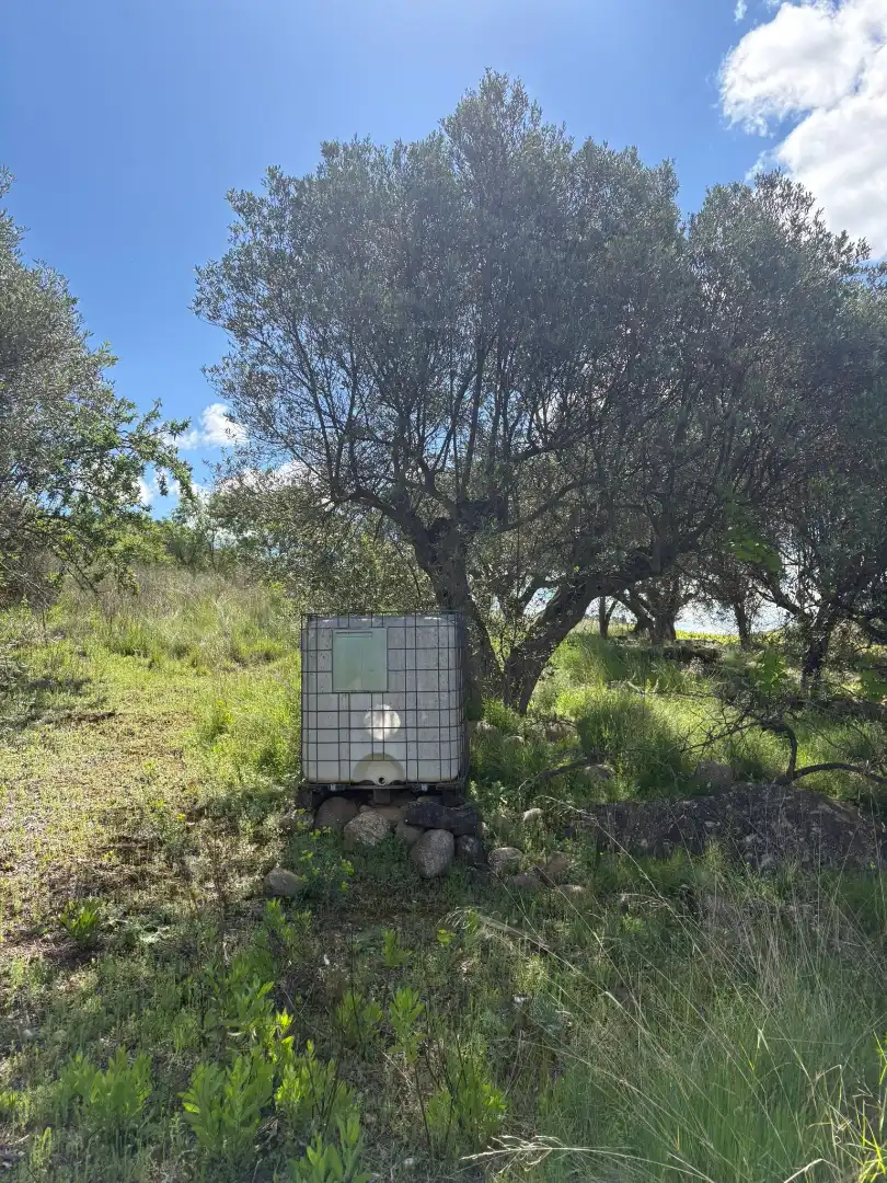 Exterior view of Land for sale in Cenicero