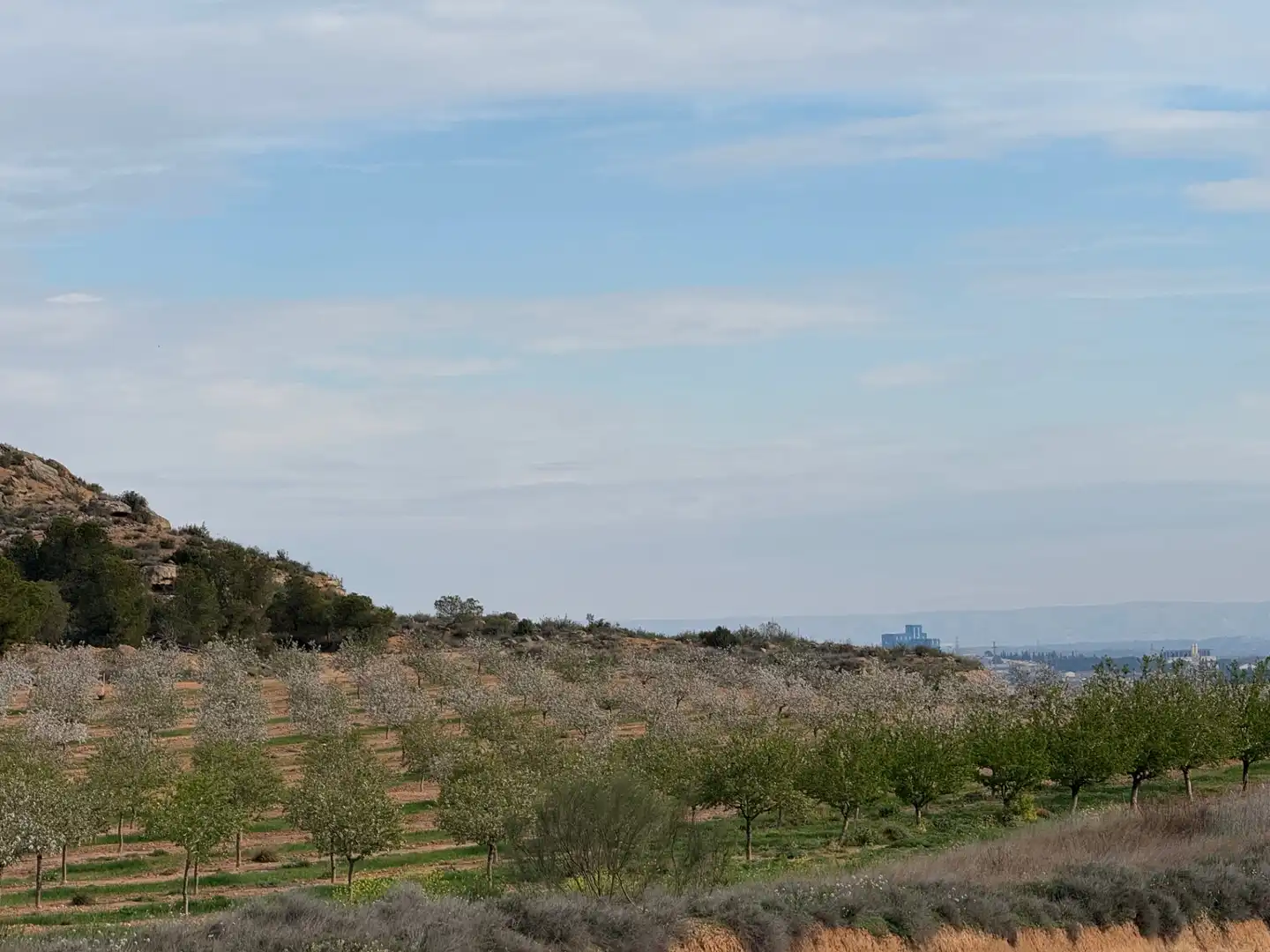 Terreni e lotti in vendita a Caspe, imagen 7