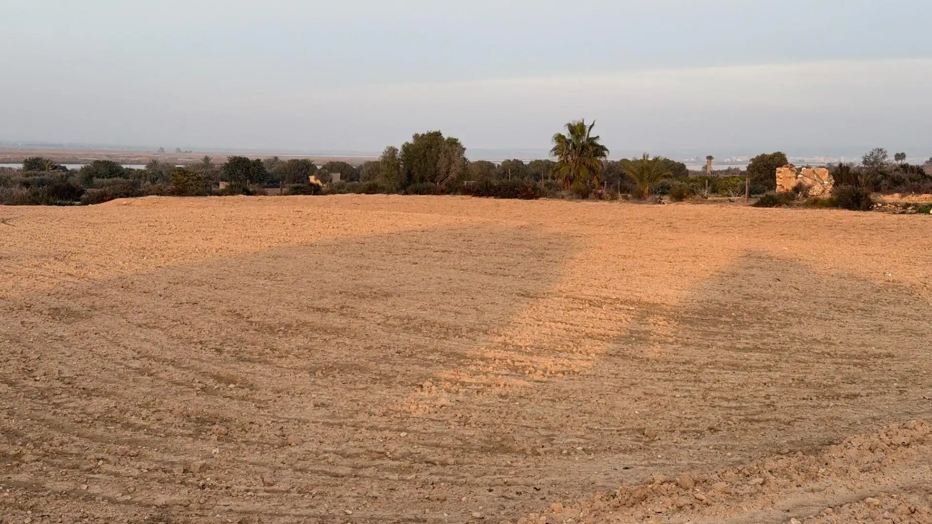 Terrain rustique à vendre à La Marina, imagen 13