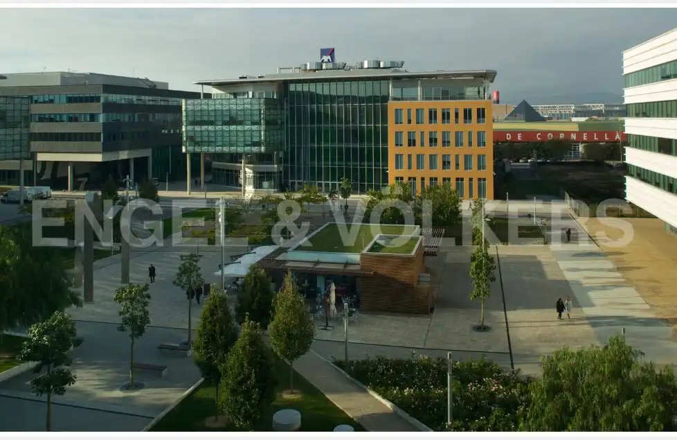 Office space to rent in Centre, imagen 2