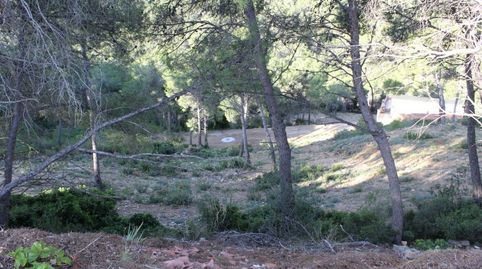 Parcela en Canyelles Les Palmeres, imatge 3