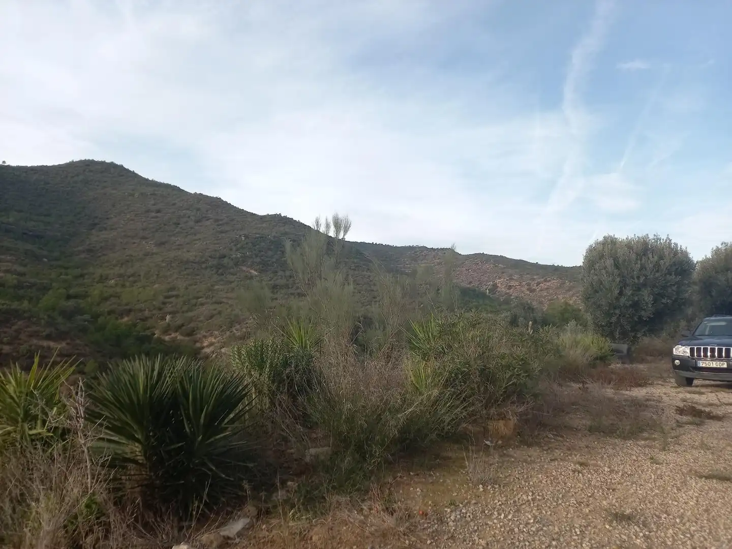 Grundstücke zum Verkauf in Riba-roja d'Ebre