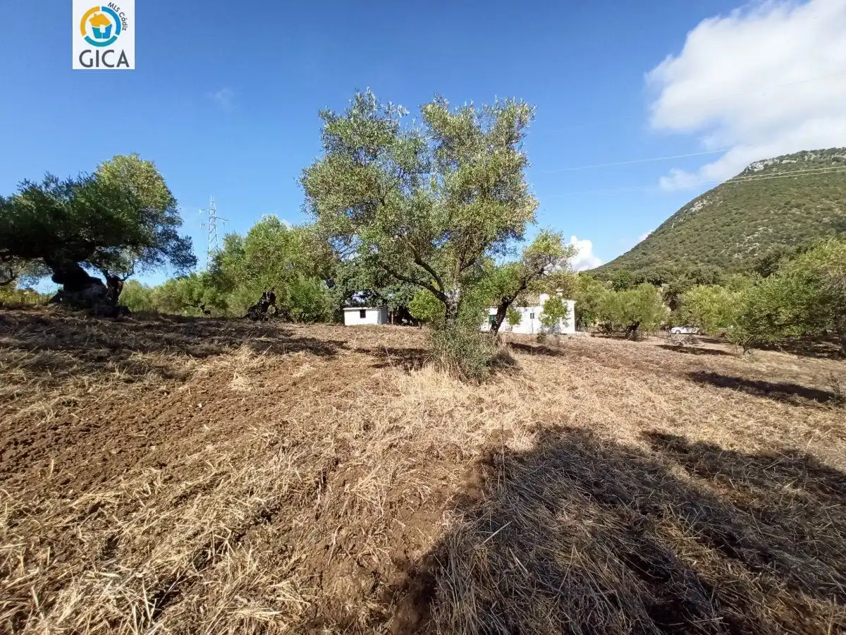 Casa rústica en venda a El Bosque, imagen 37