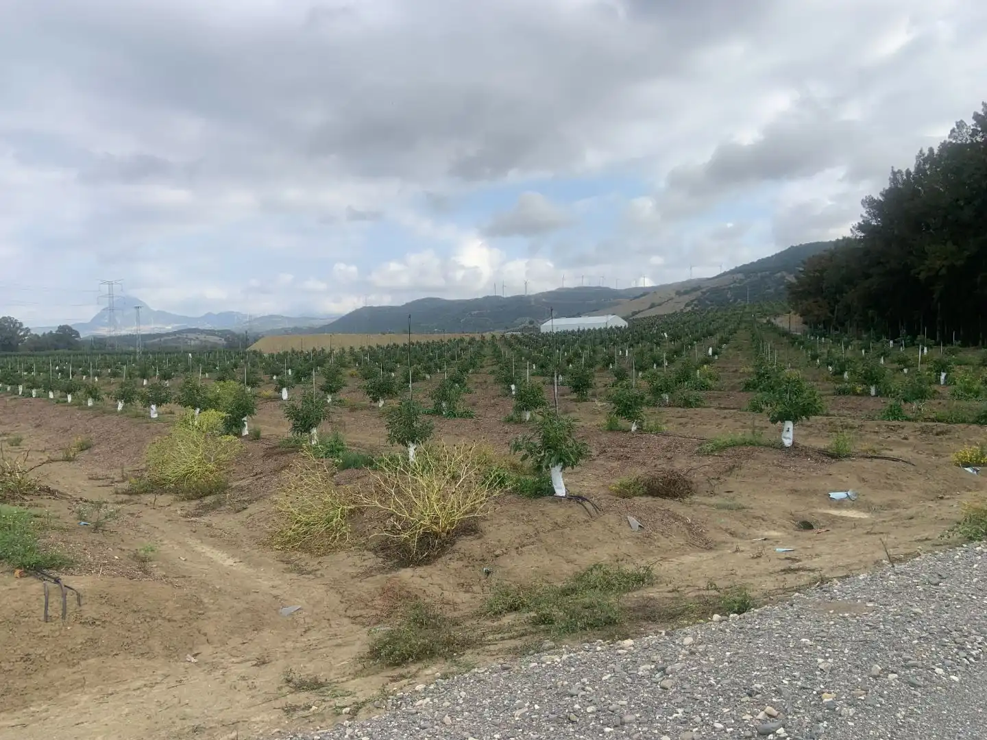 Terreno en venta en Casares