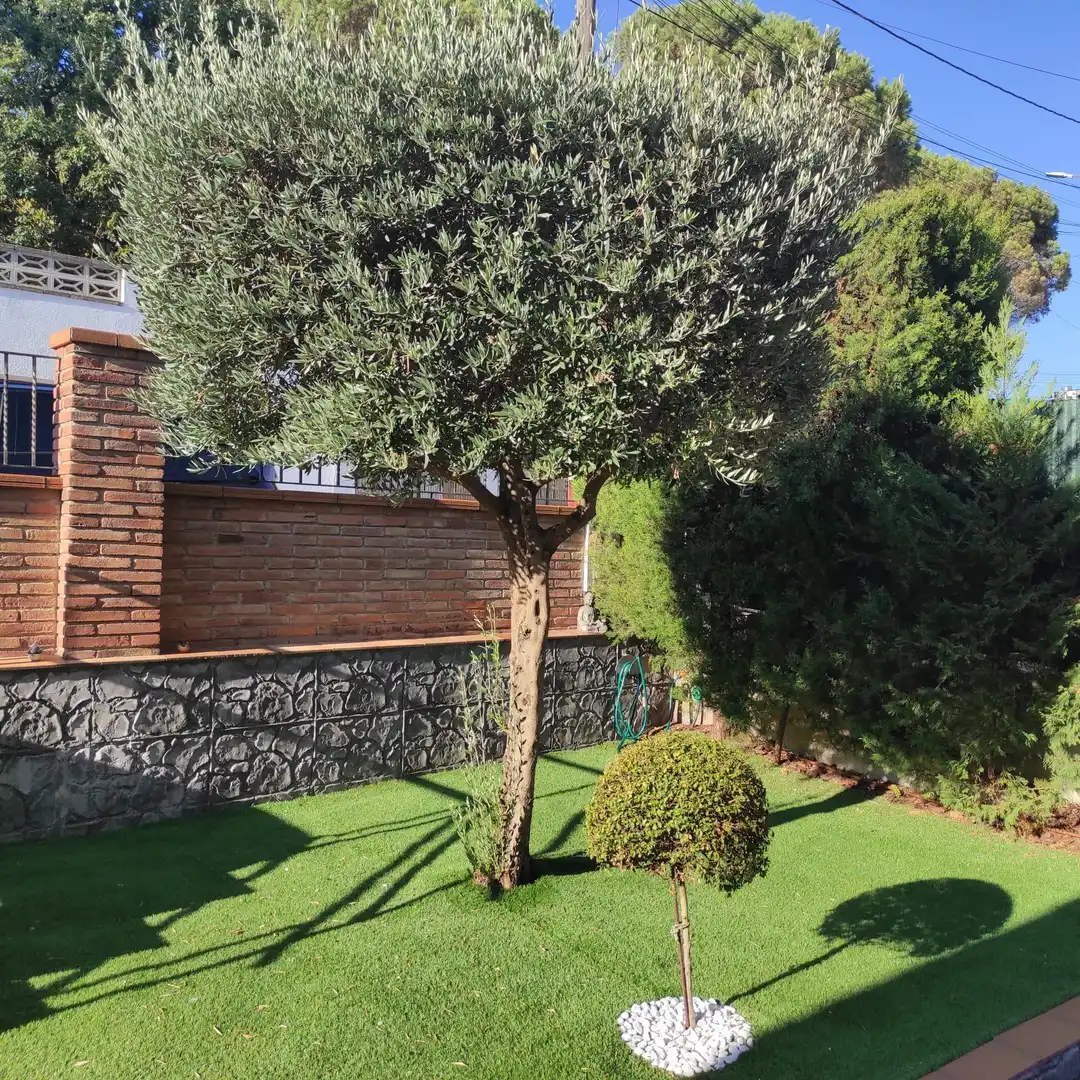 Casa amb piscina en venda a Riells i Viabrea, imagen 10