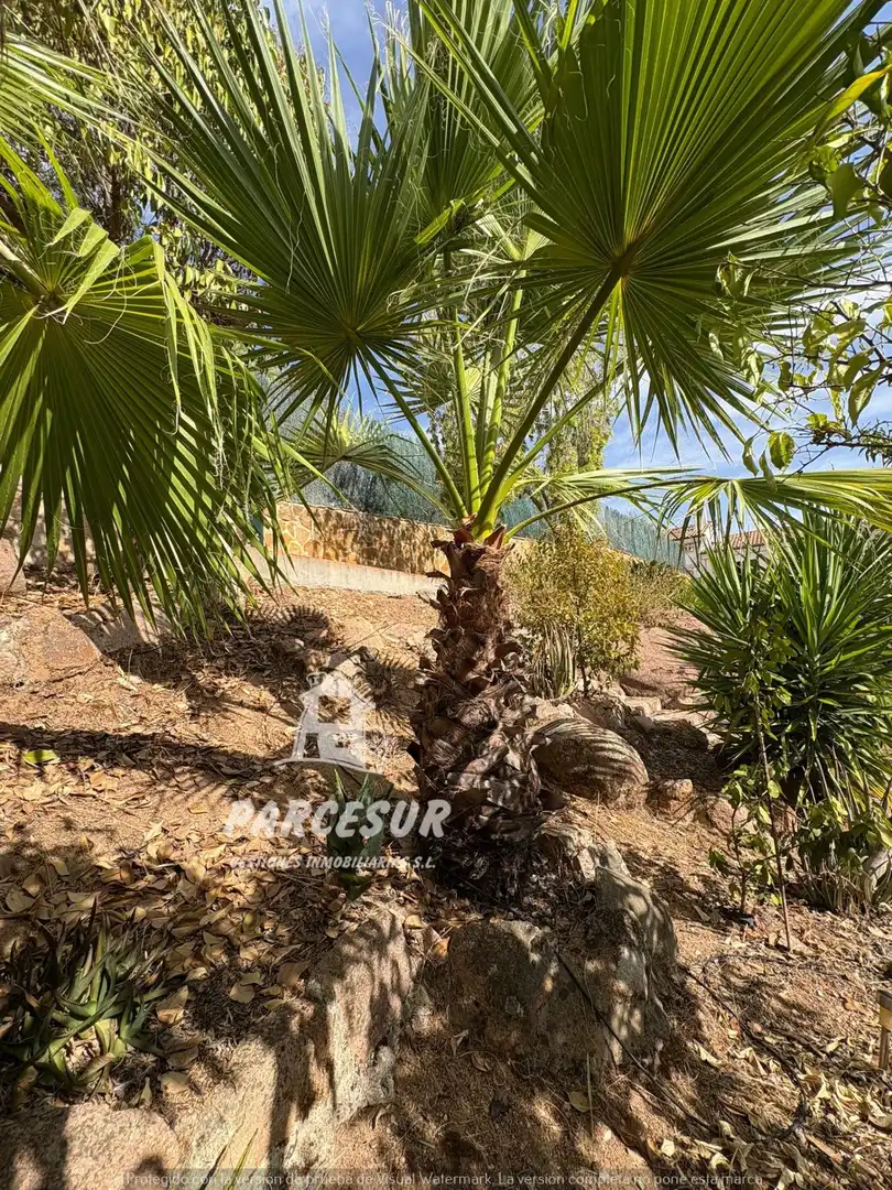 Casa rústica amb piscina en venda a Periurbano Oeste - Sierra, imagen 44