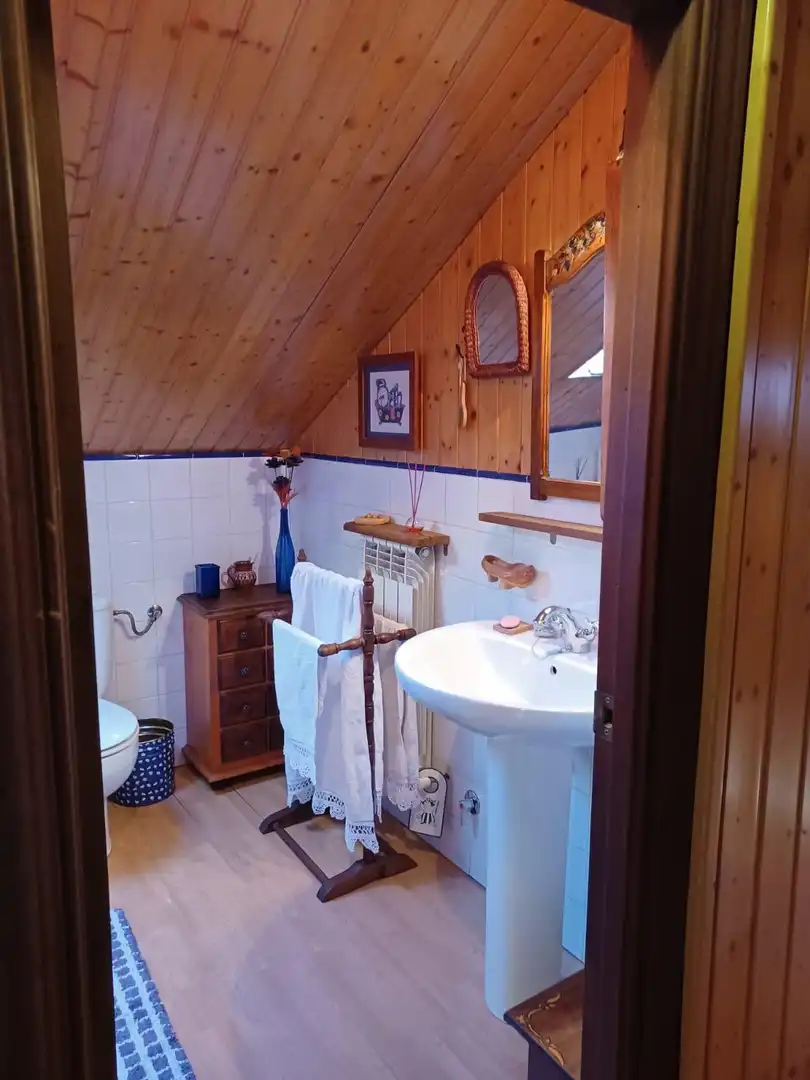 Villa in vendita a Cangas del Narcea, imagen 65
