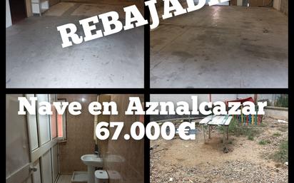 Garden of Industrial buildings for sale in Aznalcázar