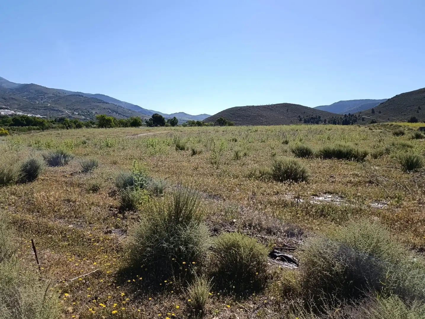 Rural land for sale in Laujar de Andarax, imagen 20