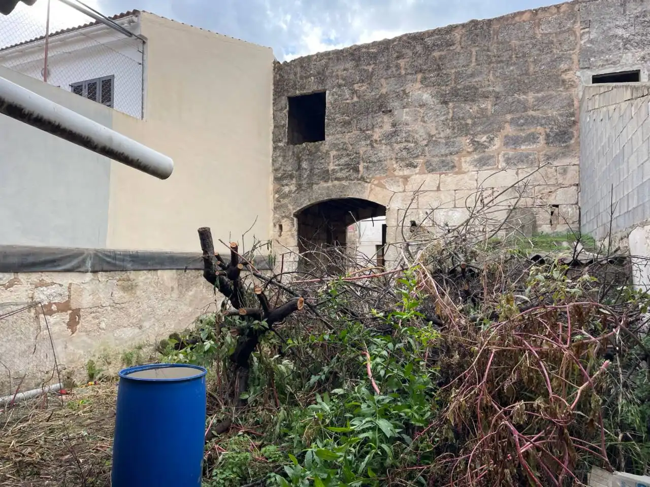 Vista exterior de Casa o chalet en venta en Sa Pobla con Jardín privado y Terraza