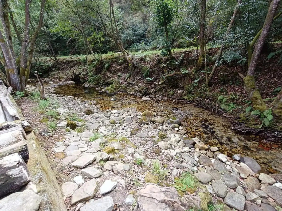 Rustikales Grundstück zum Verkauf in Vibaña - Ardisana - Caldueño, imagen 22