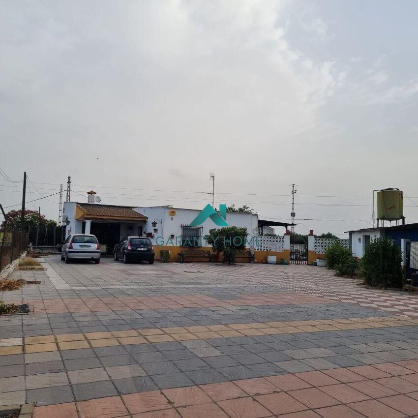 Vista exterior de Finca rústica en venda en La Palma del Condado amb Aire condicionat, Jardí privat i Terrassa
