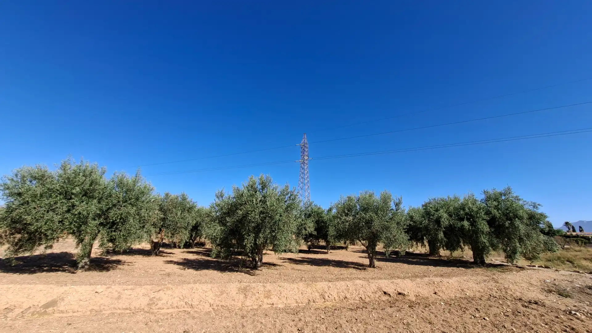 Houses for sale in Camí del Carreret, Los Girasoles